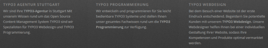 Beispiel Seo Footer
