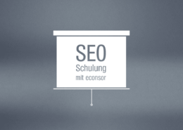 SEO-Agentur, IST-Analyse