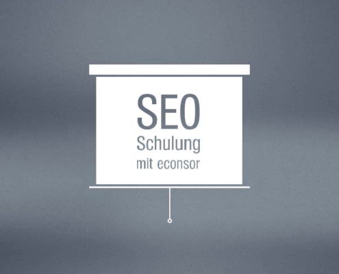 SEO-Agentur, IST-Analyse