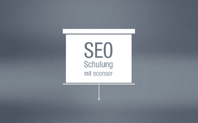 SEO-Agentur, IST-Analyse