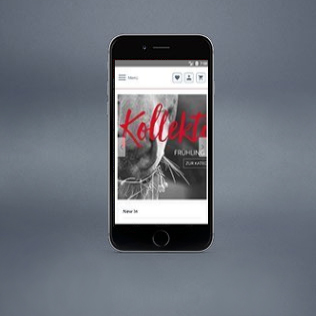 FUNDIS App