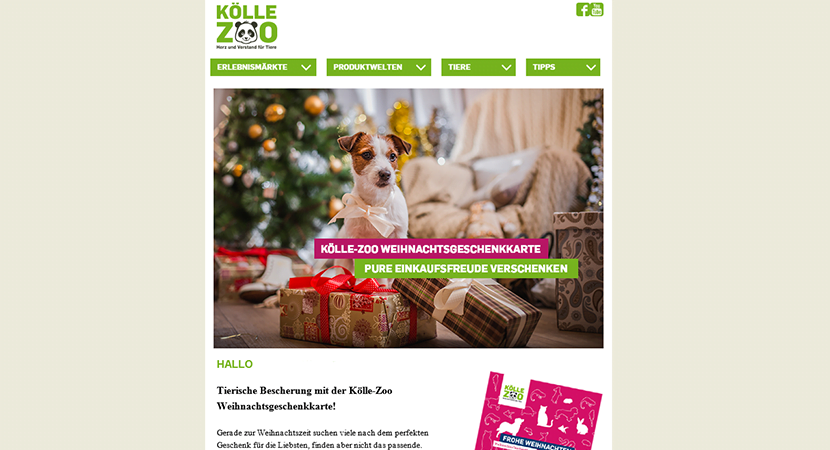 newsletter Koelle-Zoo Kölle Zoo Newsletter Marketing