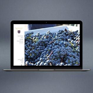 Staatsweingut Weinberg teaser
