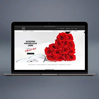 Love Flowerbox Referenz Teaser – Front page on Mac
