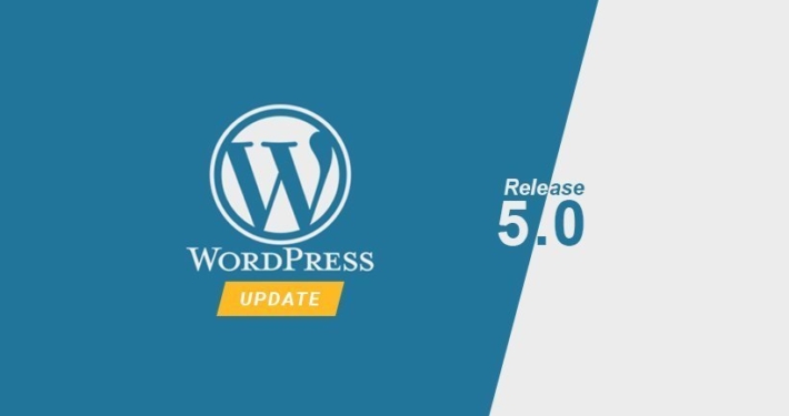 WordPress 5.0 Release Update