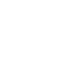 Amann Logo