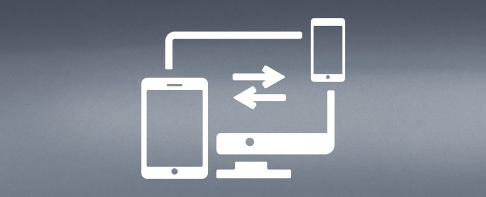 econsor responsive intro
