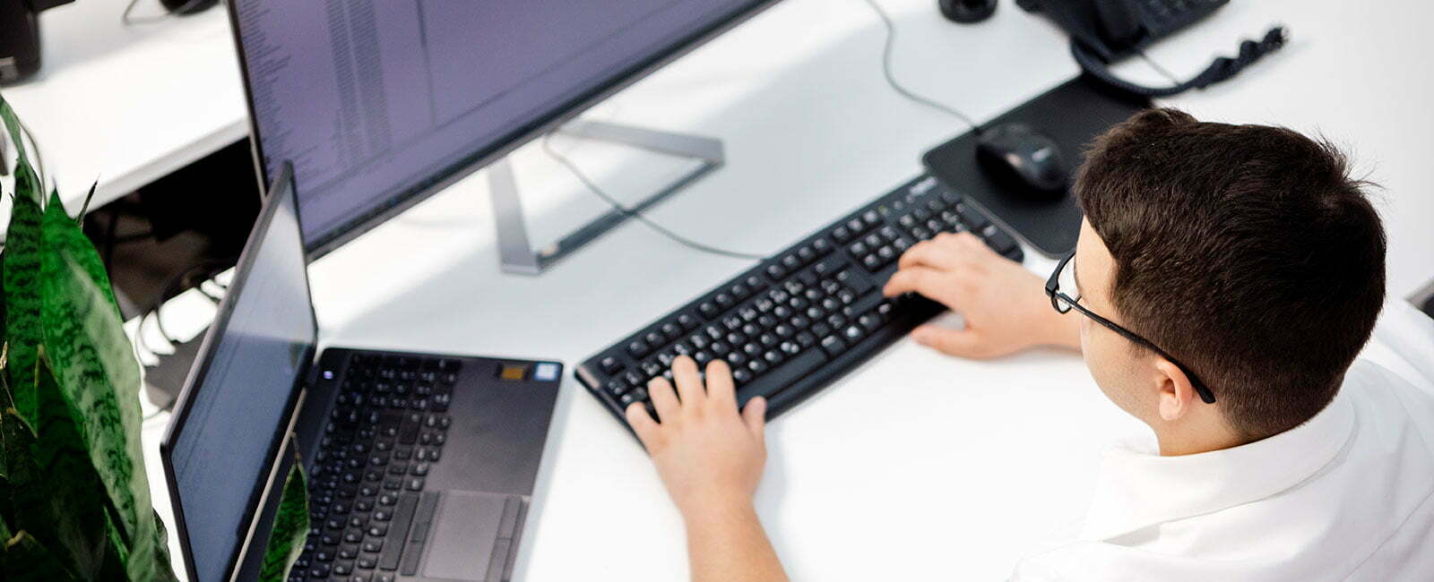 Mitarbeiter am Programmieren