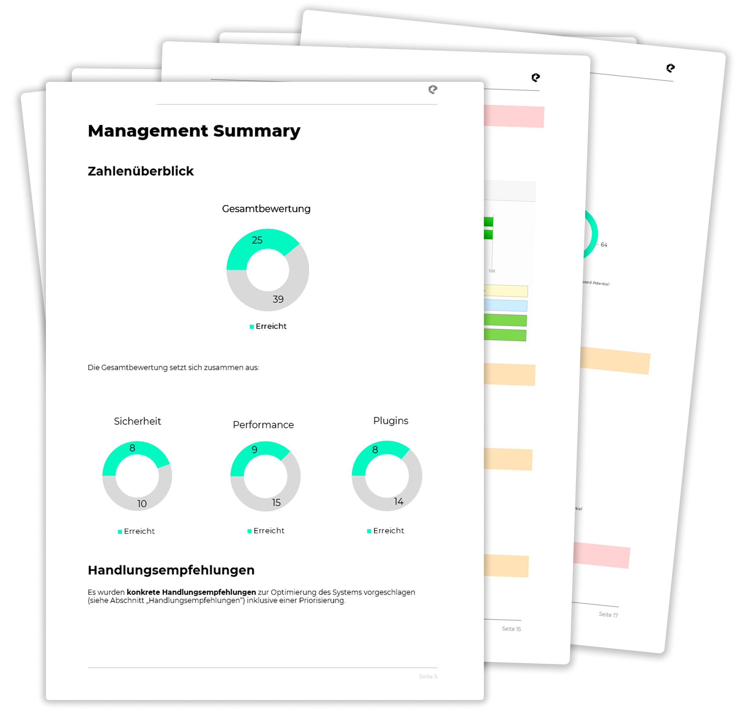 Standard Audit Mockup