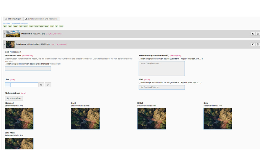 Screenshot von dem TYPO3 Bildelement 