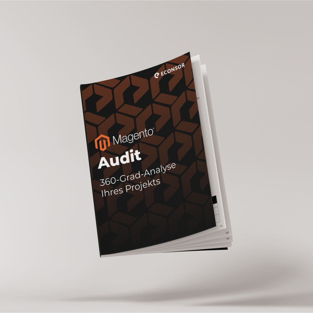 Magento-Audit Visuelle Darstellung unseres ECONSOR Magento-Audits
