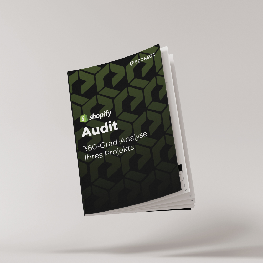 Shopify-Audit Visuelle Darstellung unseres ECONSOR Shopify-Audits