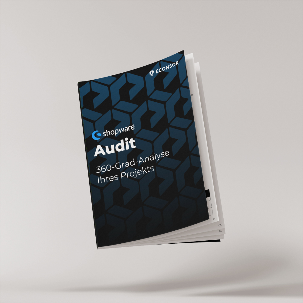 Shopware-Audit Visuelle Darstellung unseres ECONSOR Shopware-Audits