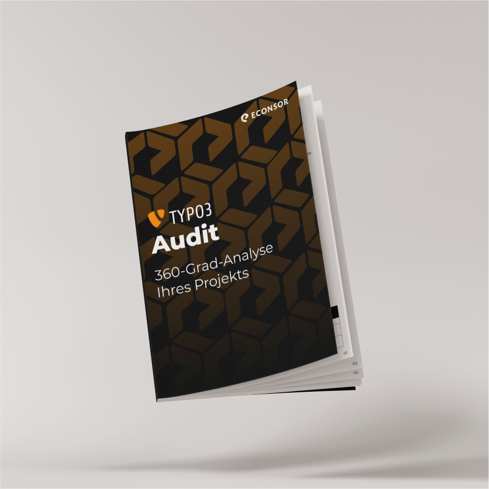 TYPO3-Audit Visuelle Darstellung unseres ECONSOR TYPO3-Audits