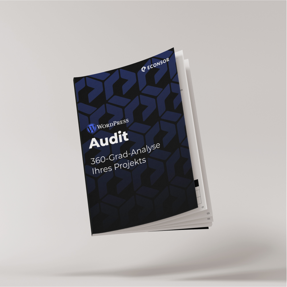 Visuelle Darstellung unseres ECONSOR WordPress-Audits