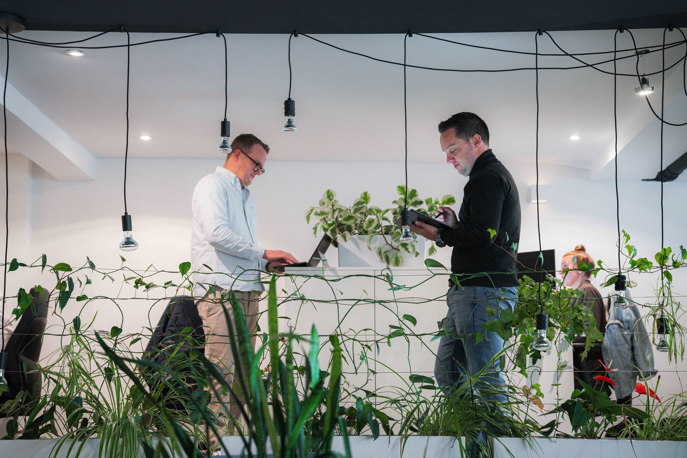 Econsor_Stuttgart_Bilder-(60) Zwei Männer arbeiten konzentriert an Laptops und einem Tablet in einem modernen, offen gestalteten Büro. Im Vordergrund und zwischen den Arbeitsplätzen ranken grüne Pflanzen. Die helle, freundliche Atmosphäre und das Zusammenspiel aus Technik, Natur und Design vermitteln einen Eindruck von moderner, kollaborativer Arbeitsweise in einem kreativen Arbeitsumfeld.