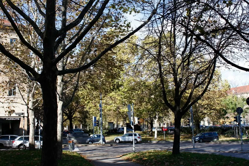 Aussicht des Stuttgarter econsor Büro