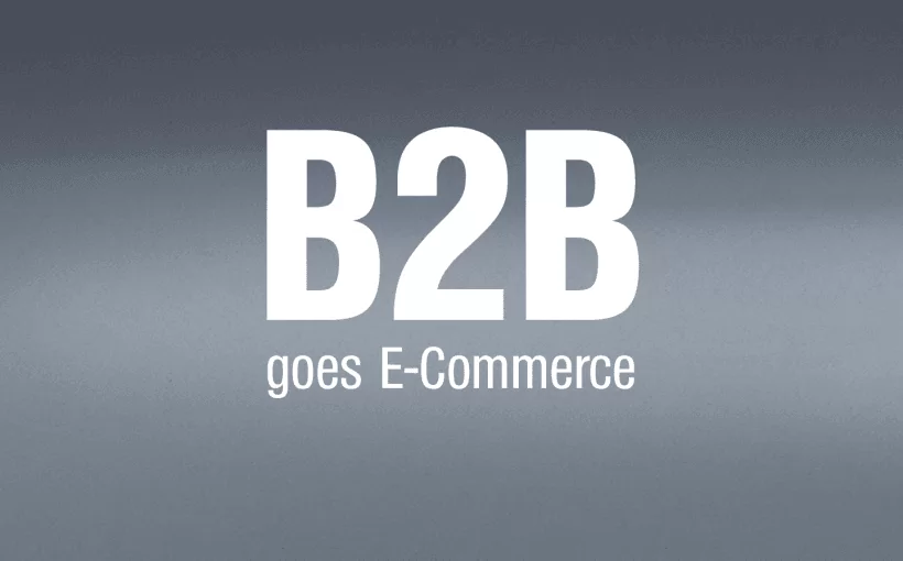B2B-Online-Shops