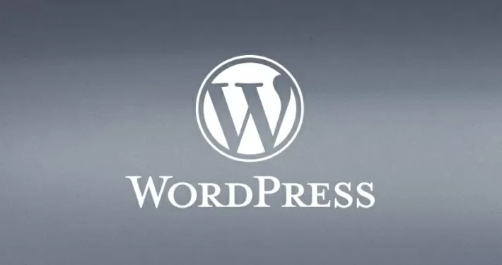 Wordpress für Blogs oder eine Internetseite