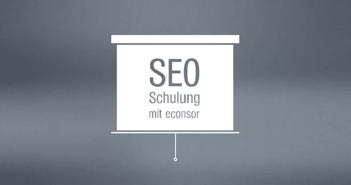 SEO-Agentur, IST-Analyse