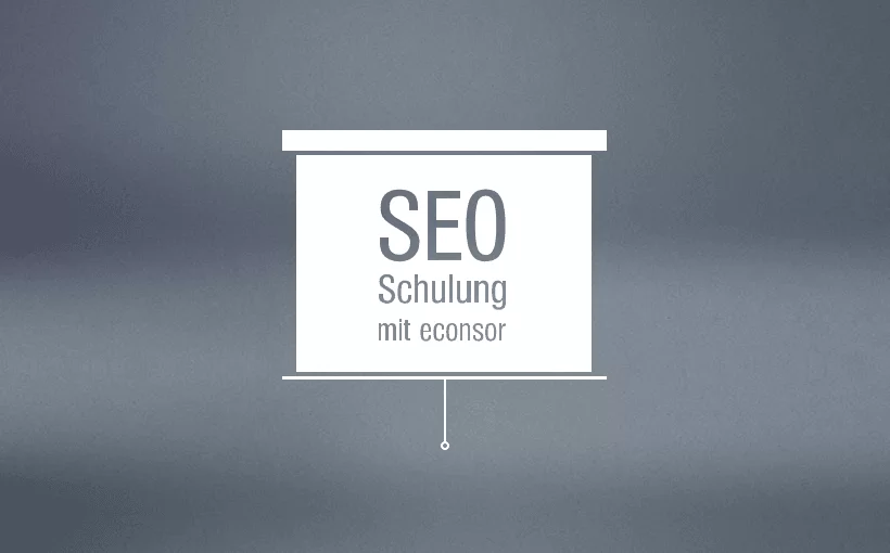 SEO-Agentur, IST-Analyse