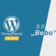 WordPress 5.0 Bebo Teaser