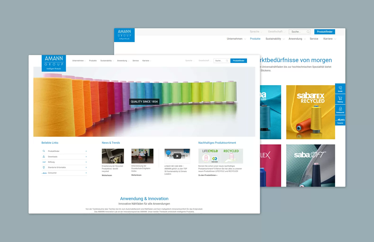 Amann Webseite