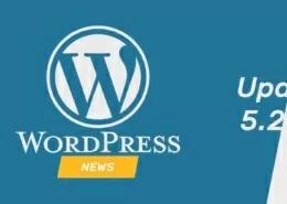 Update WordPress 5.2