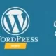 Update WordPress 5.2