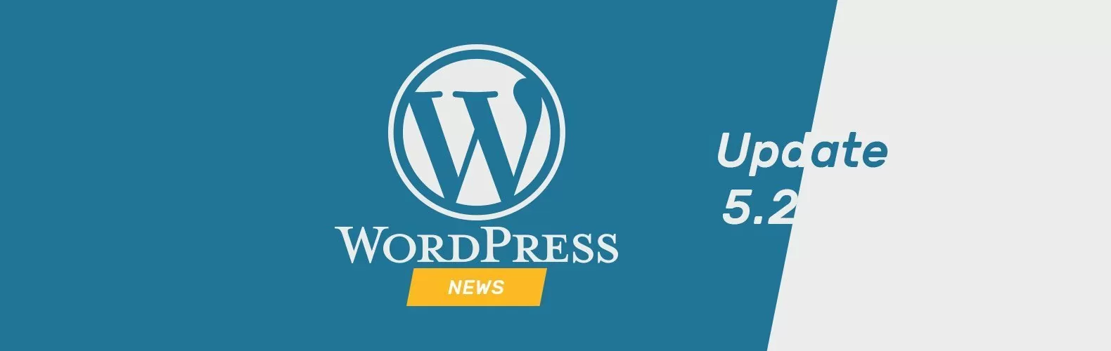 Update WordPress 5.2