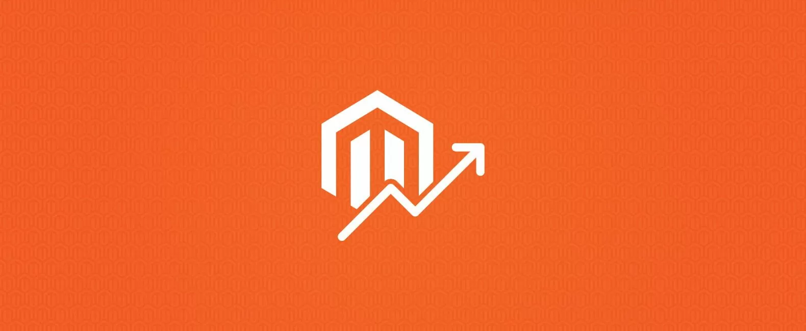 Grafik durch Magento-Extensions einen optimierten Online-Shop gestalten