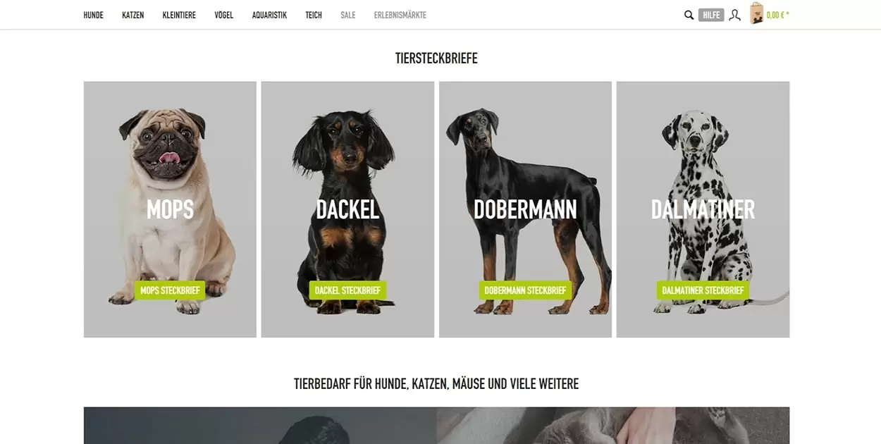 Vorschaubild von Tiersteckbrief auf Kölle Zoo Webshop