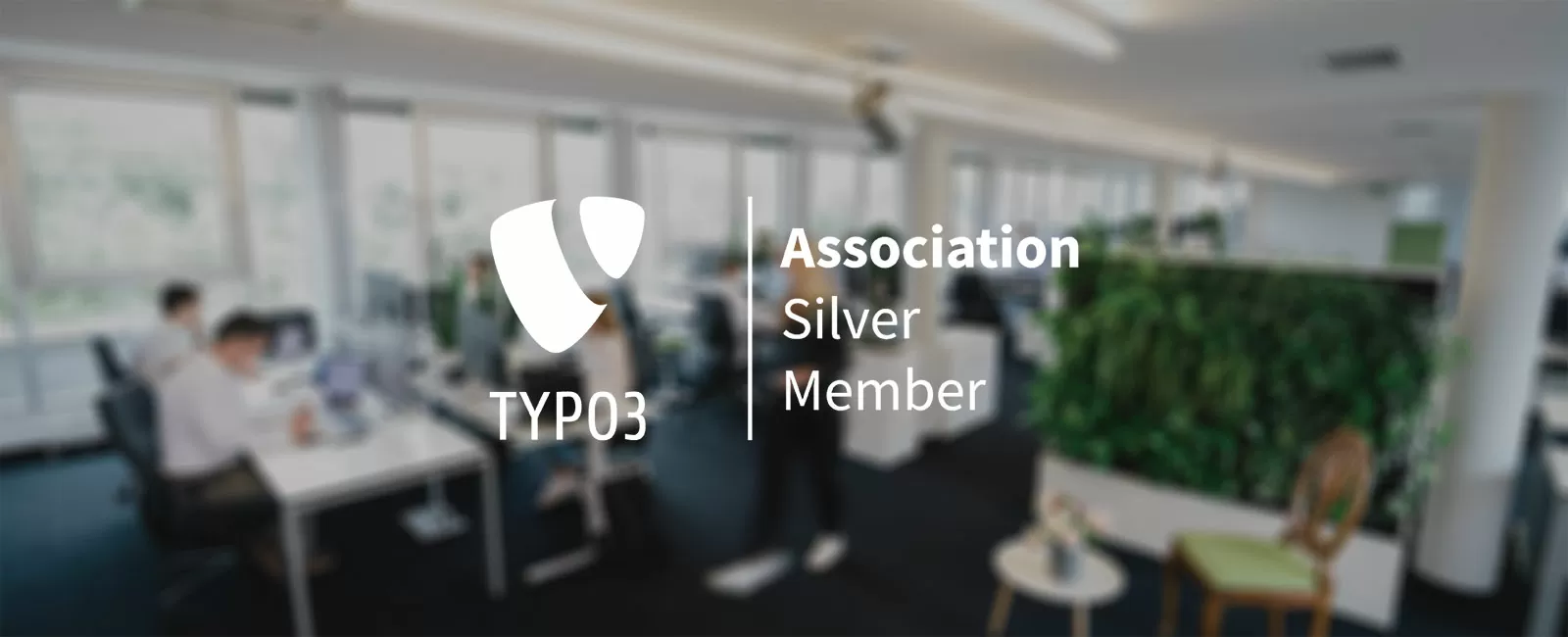 TYPO3-Partner Logo