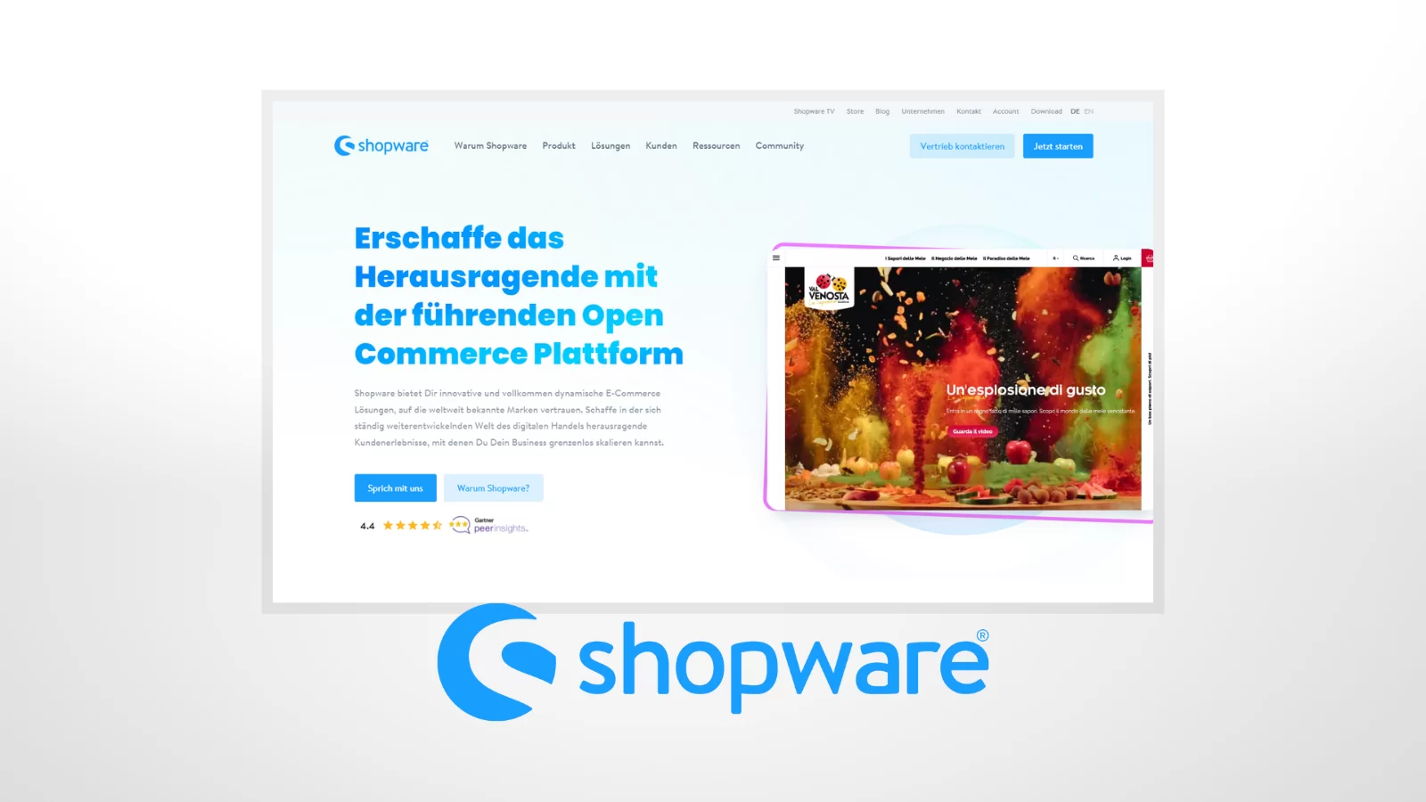 Shopsystem Shopware im Vergleich