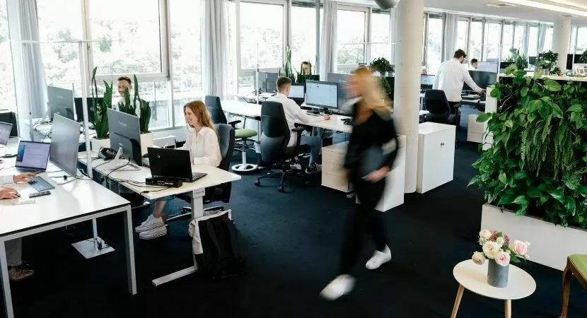 Online-Marketing Agentur in Frankfurt